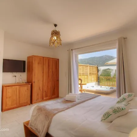 Torrella 3*